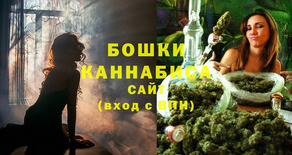 молекула духа Заводоуковск