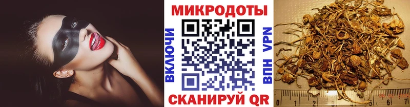 Галлюциногенные грибы Psilocybine cubensis MEGA Ивангород
